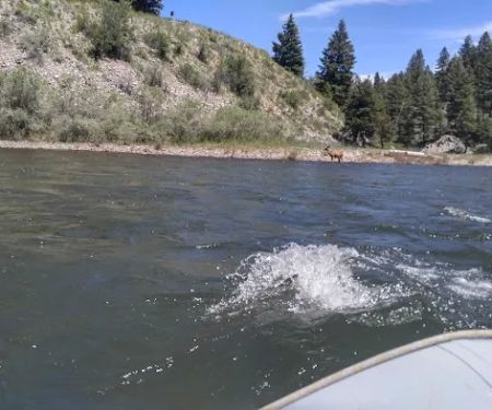 Marshall Creek Campground