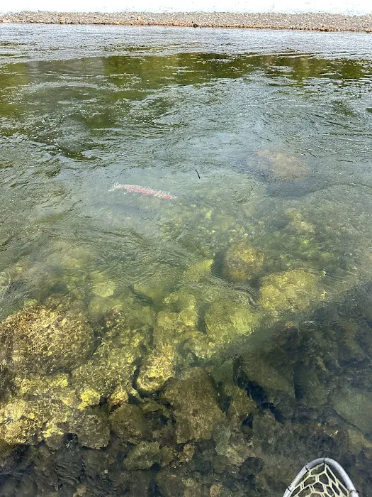 Marshall Creek Campground Picture 2