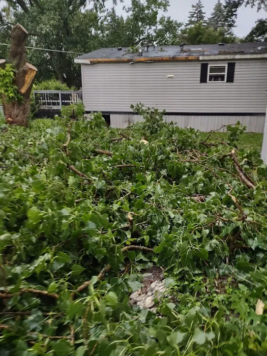 Shadylane MHC Picture 2