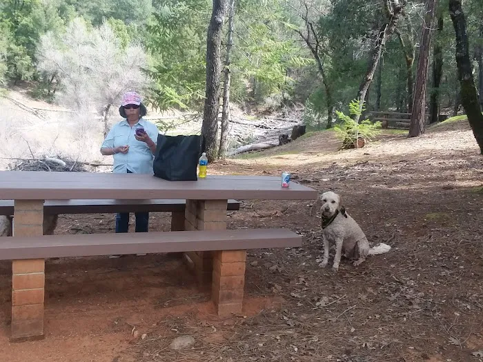 Gooseneck Cove Boat-In Campground Picture 6