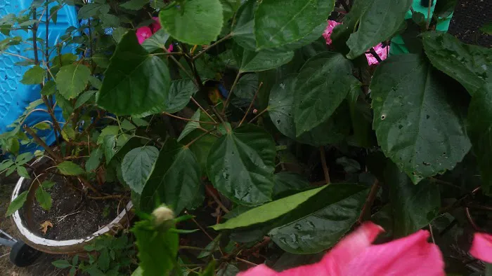 Twin Pines Mobile Home Community Picture 9