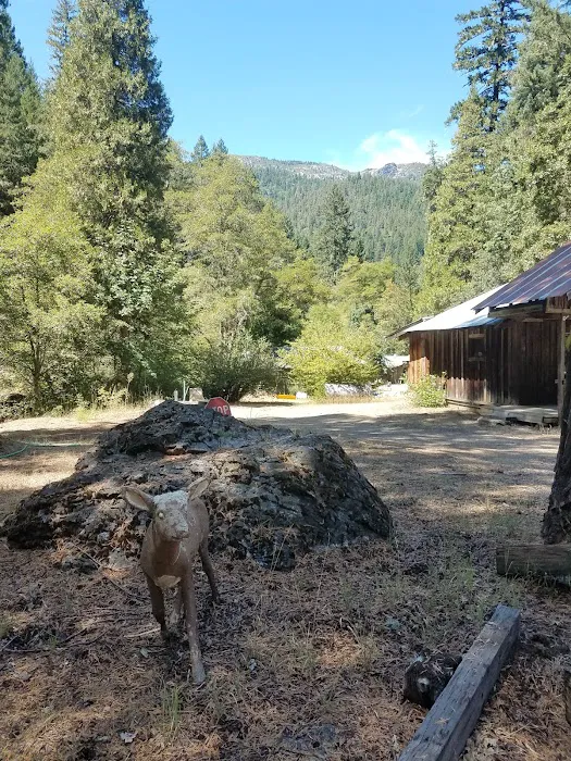 Trinity Outpost Wilderness Resort Picture 5
