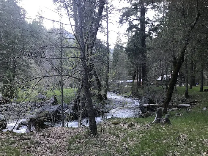 Deerlick Springs National Forest Campground Picture 9