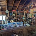 Deerlick Springs National Forest Campground