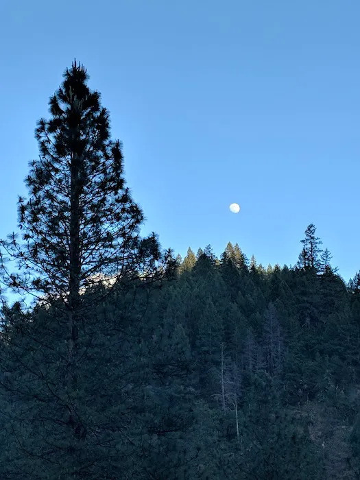 Ackerman Campground Picture 6