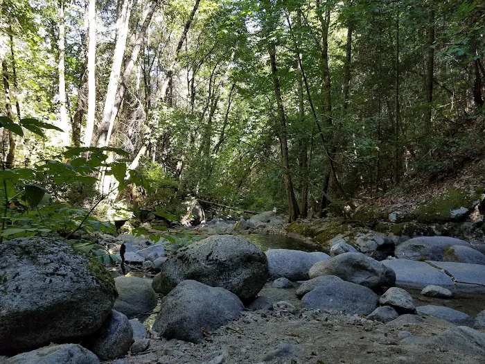 Crystal Creek Picture 1