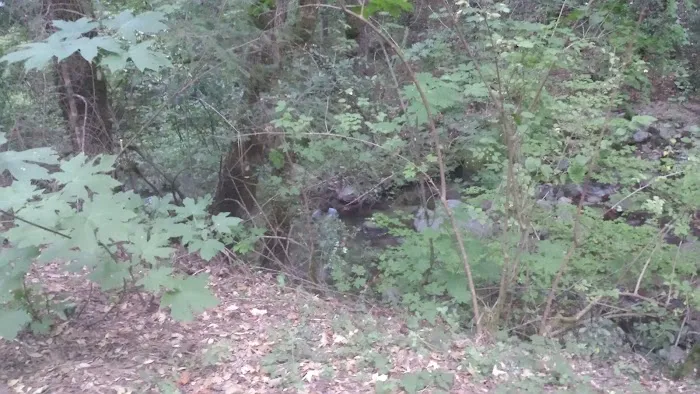 Crystal Creek Picture 3