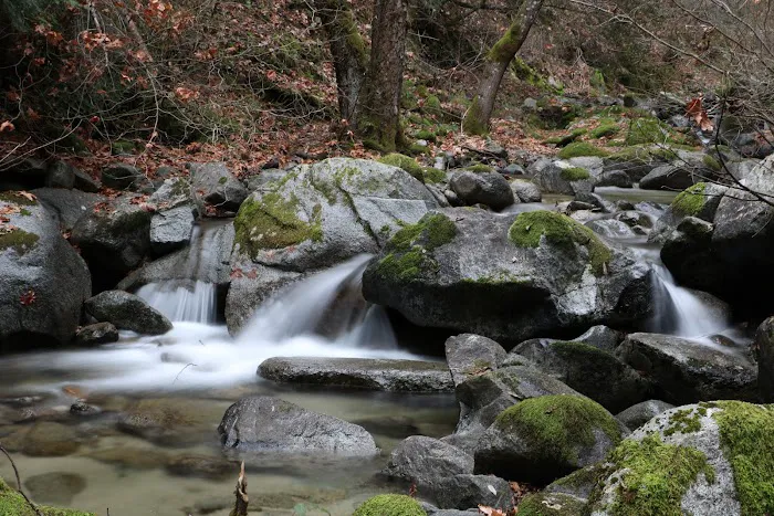 Crystal Creek Picture 4