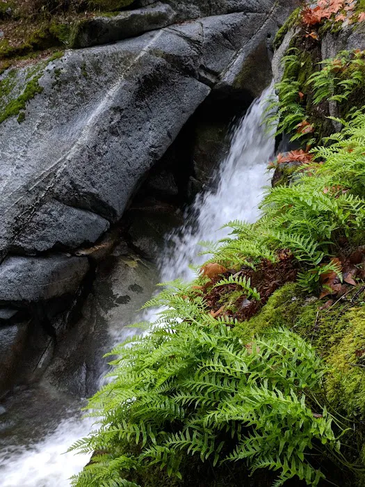 Crystal Creek Picture 9