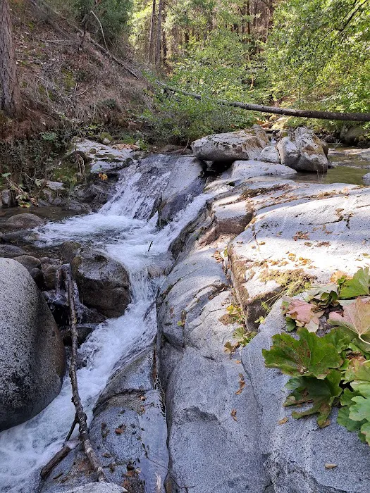 Crystal Creek Picture 8