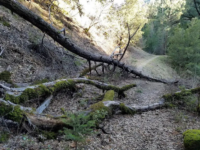 Crystal Creek Picture 7