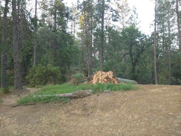Ski Island Boat-In Campground Picture 4