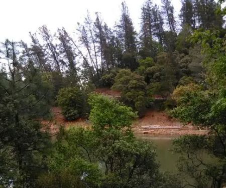 Mariners Point Loop 2 Group Campground