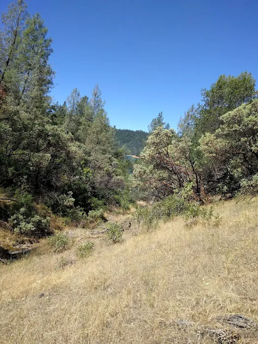 Mariners Point Loop 2 Group Campground Picture 9
