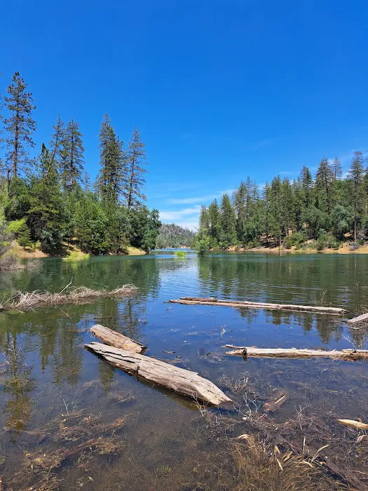 Jones Valley Inlet Shoreline Campground Picture 8