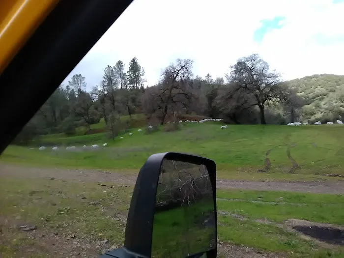 Jones Valley Inlet Shoreline Campground Picture 5