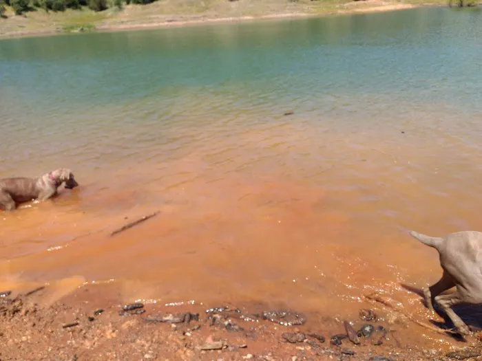 Jones Valley Inlet Shoreline Campground Picture 3