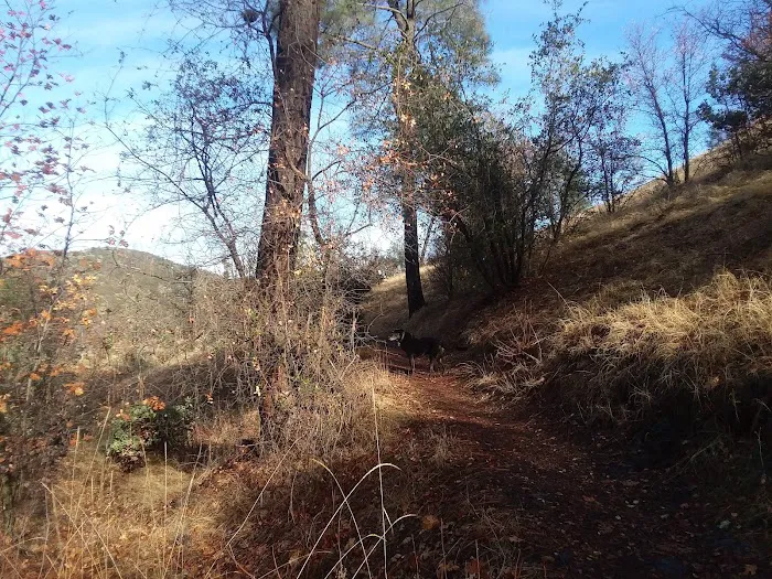 Lower Jones Valley Campground Picture 1