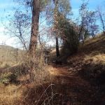 Lower Jones Valley Campground