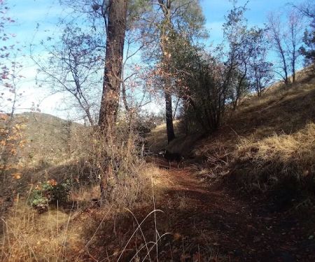 Lower Jones Valley Campground