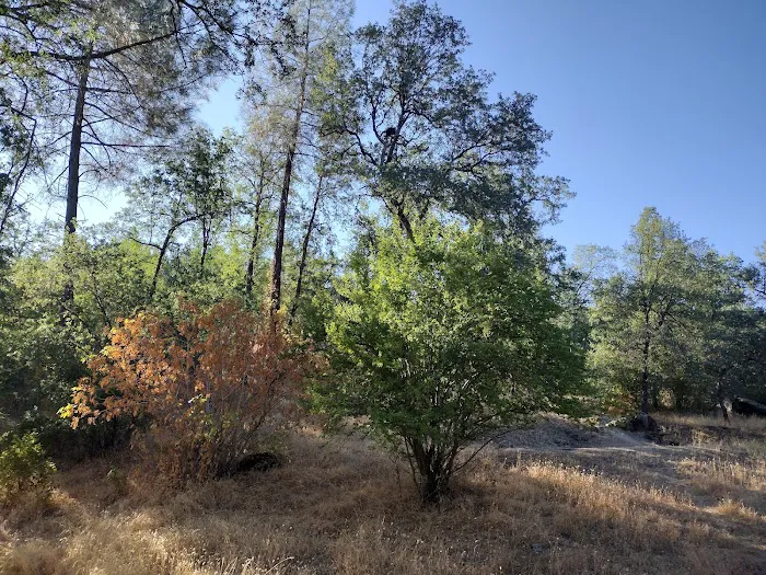 Lower Jones Valley Campground Picture 4