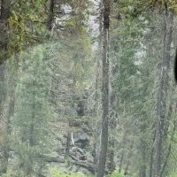 Butte Creek Campground ico