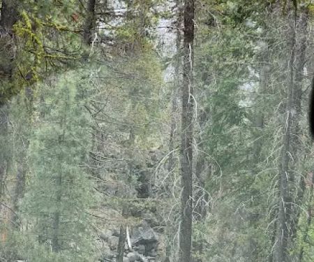 Butte Creek Campground