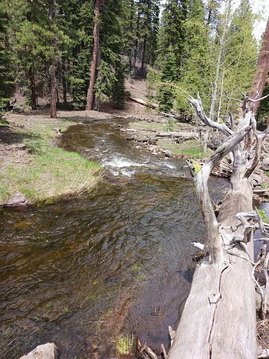 Butte Creek Campground Picture 7