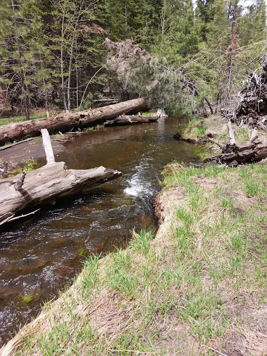 Butte Creek Campground Picture 4