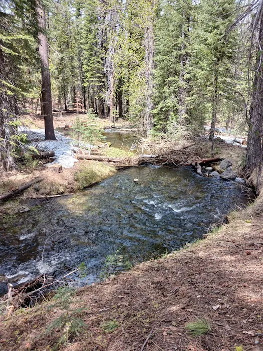 Butte Creek Campground Picture 5