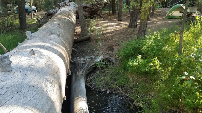 Butte Creek Campground Picture 10
