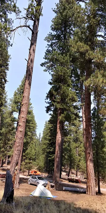 Butte Lake Stock Corral Picture 1