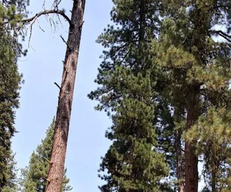 Butte Lake Stock Corral