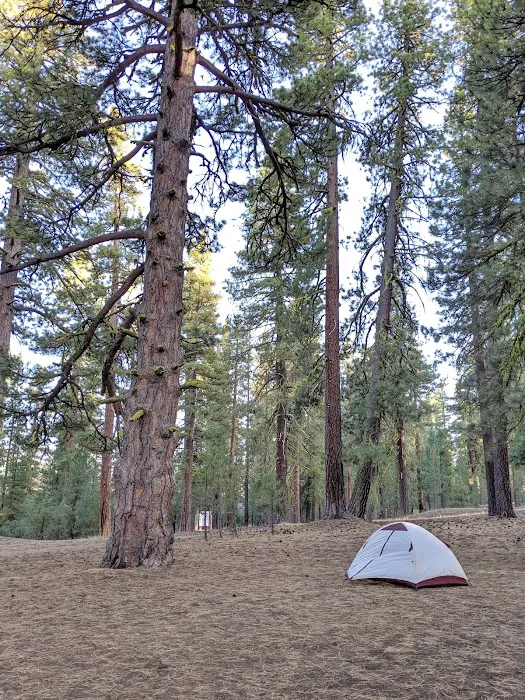 Butte Lake Campground Picture 6