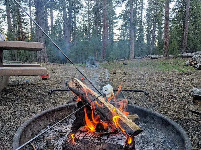 Butte Lake Campground Picture 5
