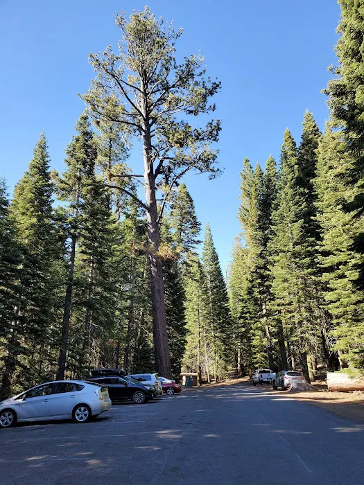 Manzanita Lake Campground Picture 5