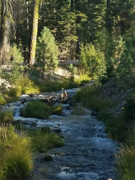 Manzanita Lake Campground Picture 10