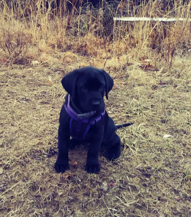 Marshall's Crossing Picture 3