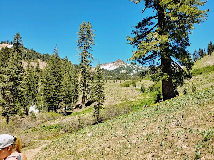 Summit Lake North Campground Picture 2