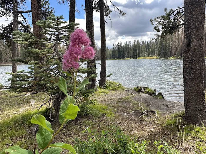 Summit Lake North Campground Picture 5