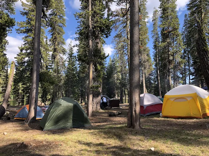 Summit Lake North Campground Picture 3