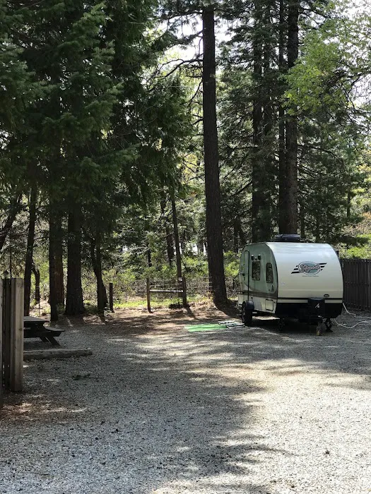 Mt. Lassen / Shingletown KOA Holiday Picture 2