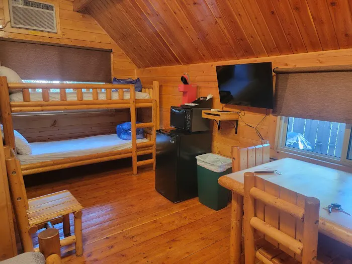 Mt. Lassen / Shingletown KOA Holiday Picture 1