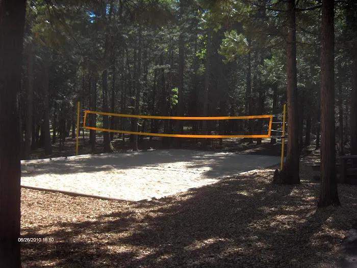 Mt. Lassen / Shingletown KOA Holiday Picture 10