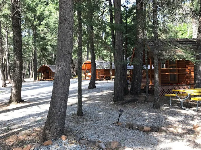 Mt. Lassen / Shingletown KOA Holiday Picture 7