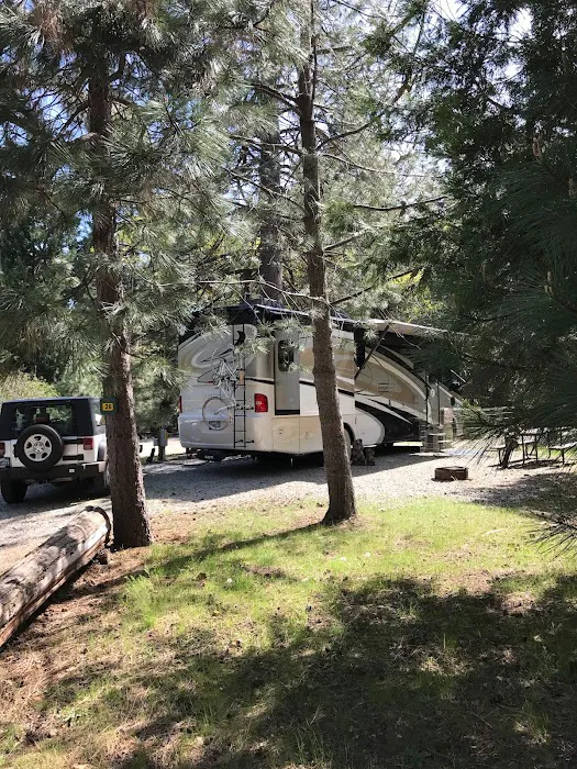 Mt. Lassen / Shingletown KOA Holiday Picture 6