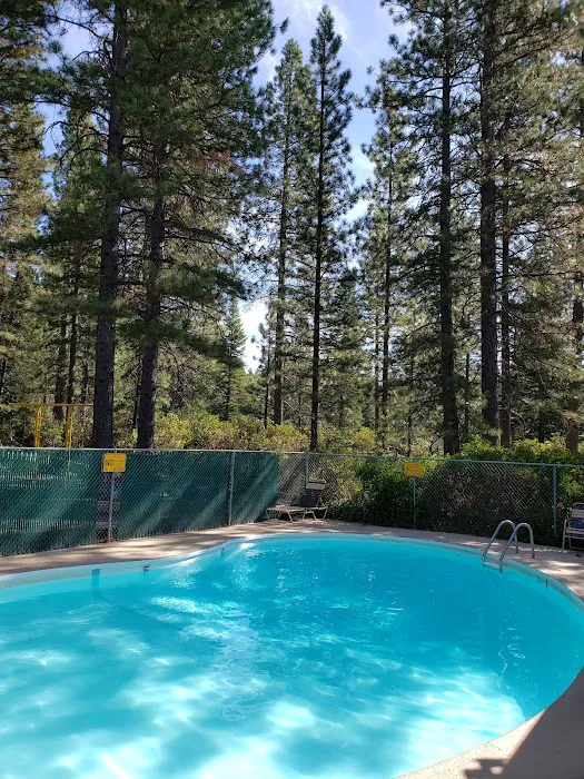 Mt. Lassen / Shingletown KOA Holiday Picture 5