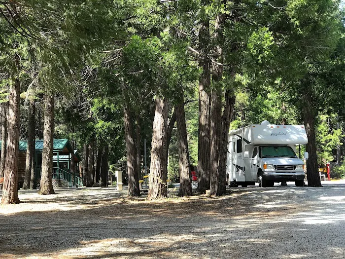 Mt. Lassen / Shingletown KOA Holiday Picture 9