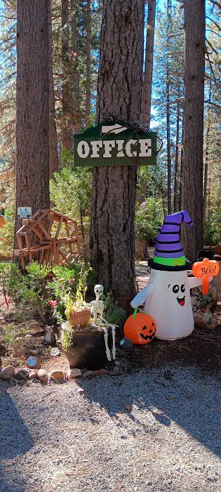 Living Springs RV and Cabins Resort / Mt. Lassen Picture 6