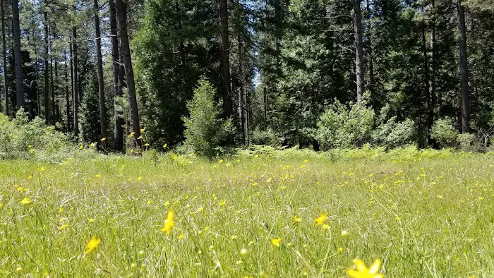 Living Springs RV and Cabins Resort / Mt. Lassen Picture 8